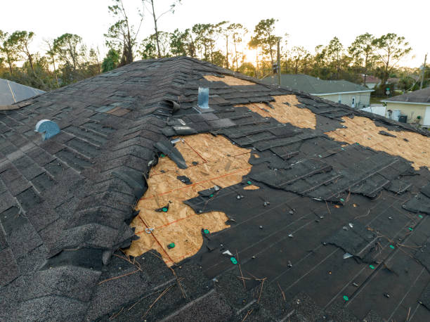 Best Roof Coating and Sealing  in Brookville, PA
